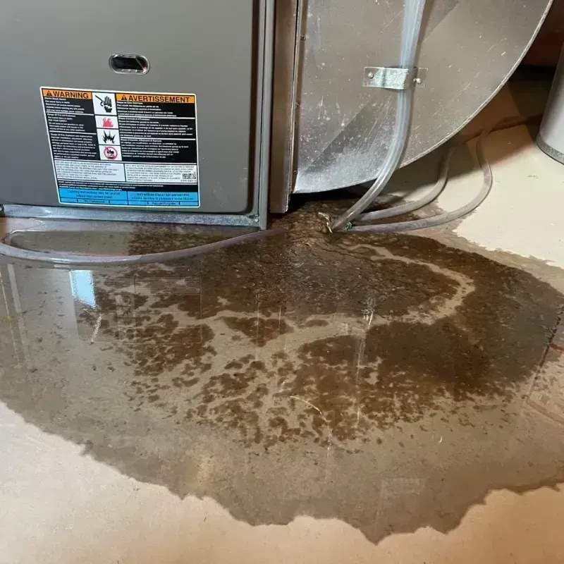 Appliance Leak Cleanup in Reidland, KY